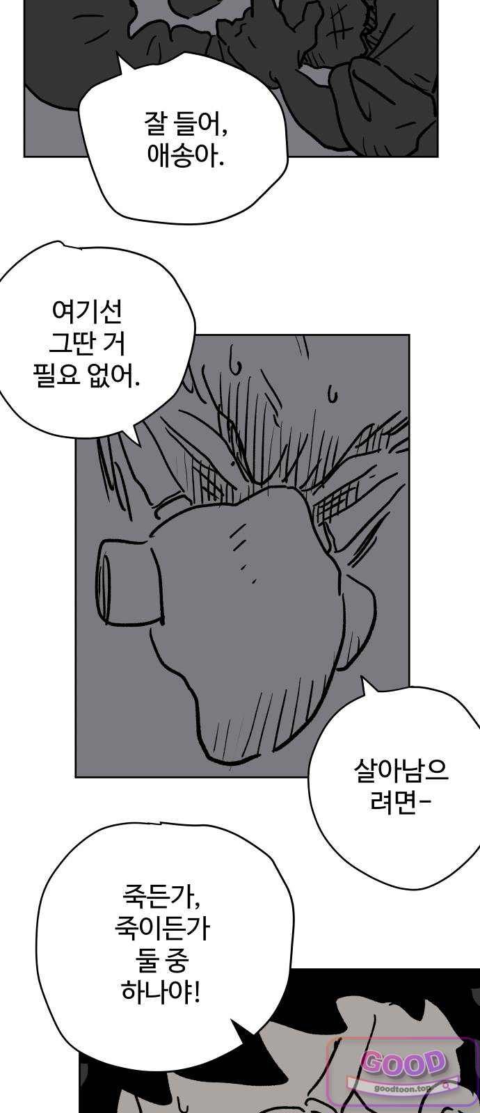 010.jpg