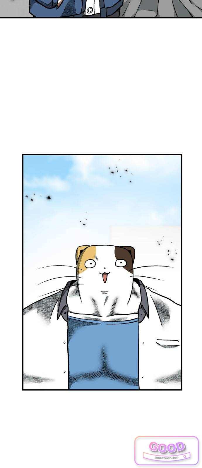 005.jpg