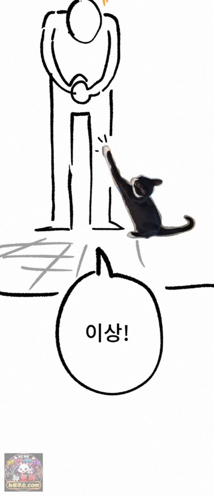 050.jpg