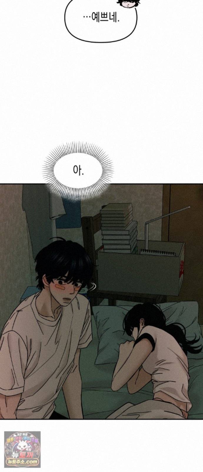 041.jpg