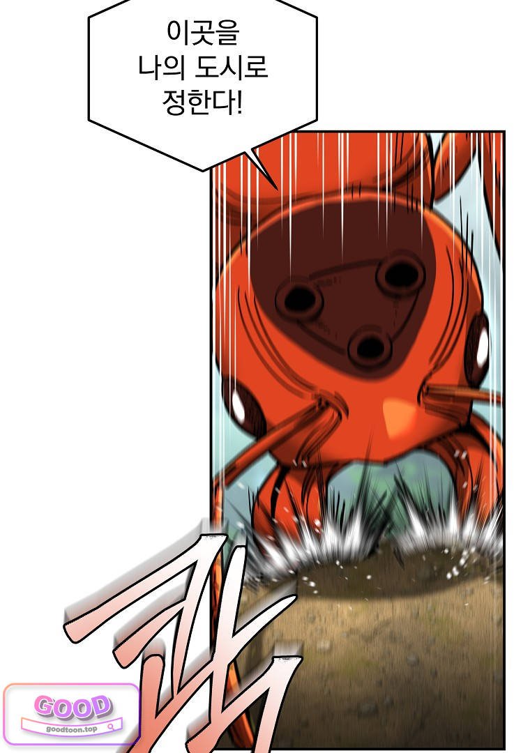 008.jpg