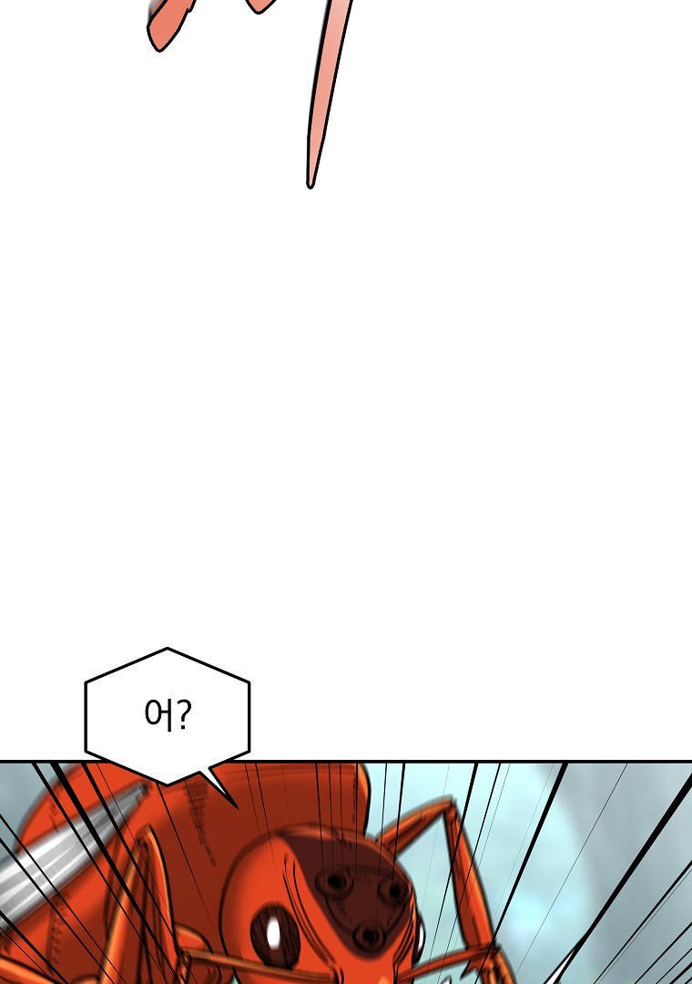 009.jpg