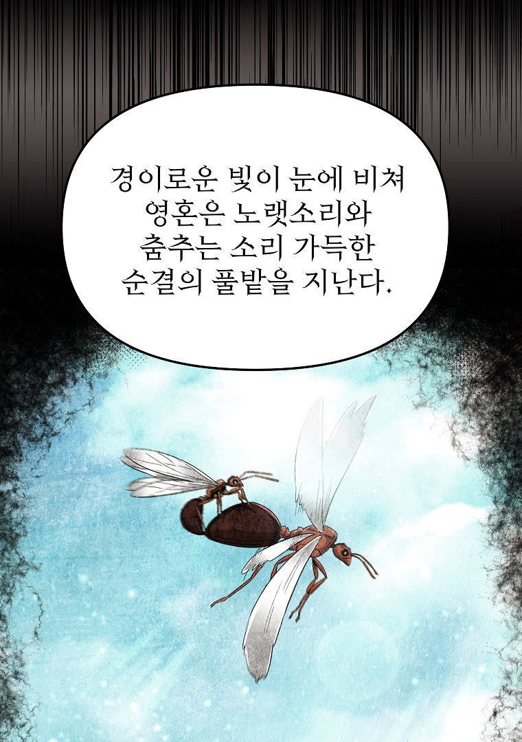 105.jpg