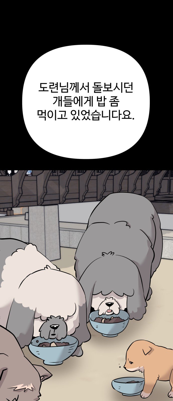 102.jpg