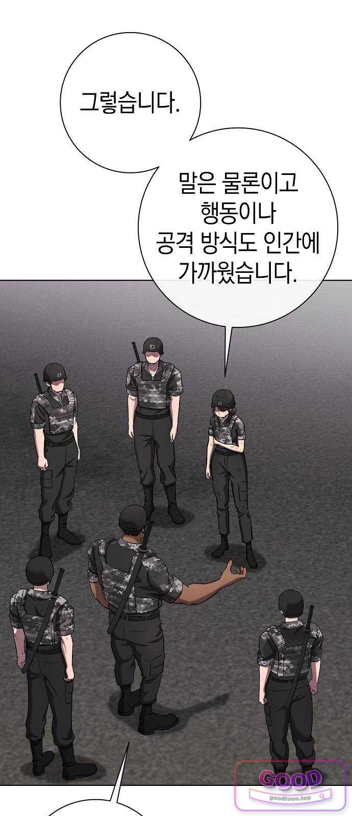 113.jpg