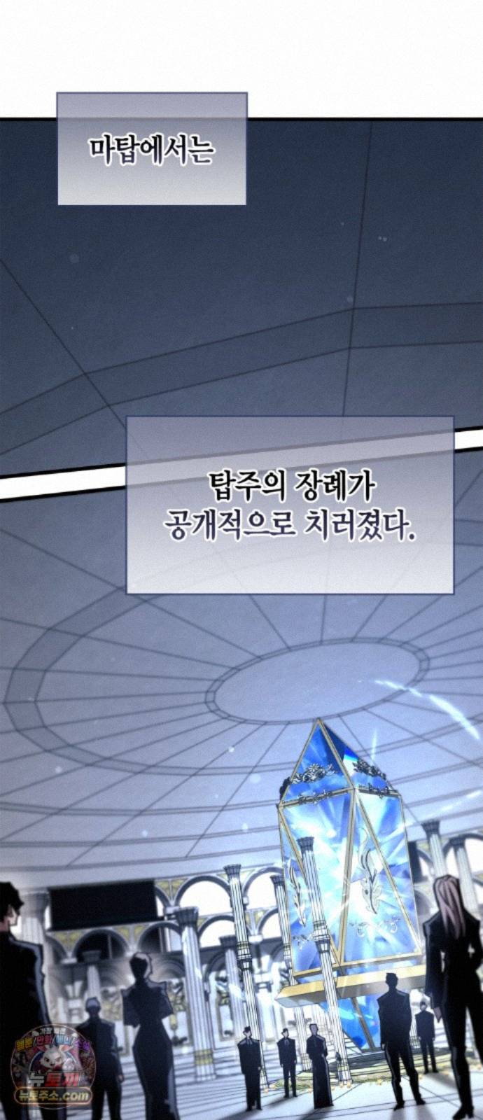 003.jpg