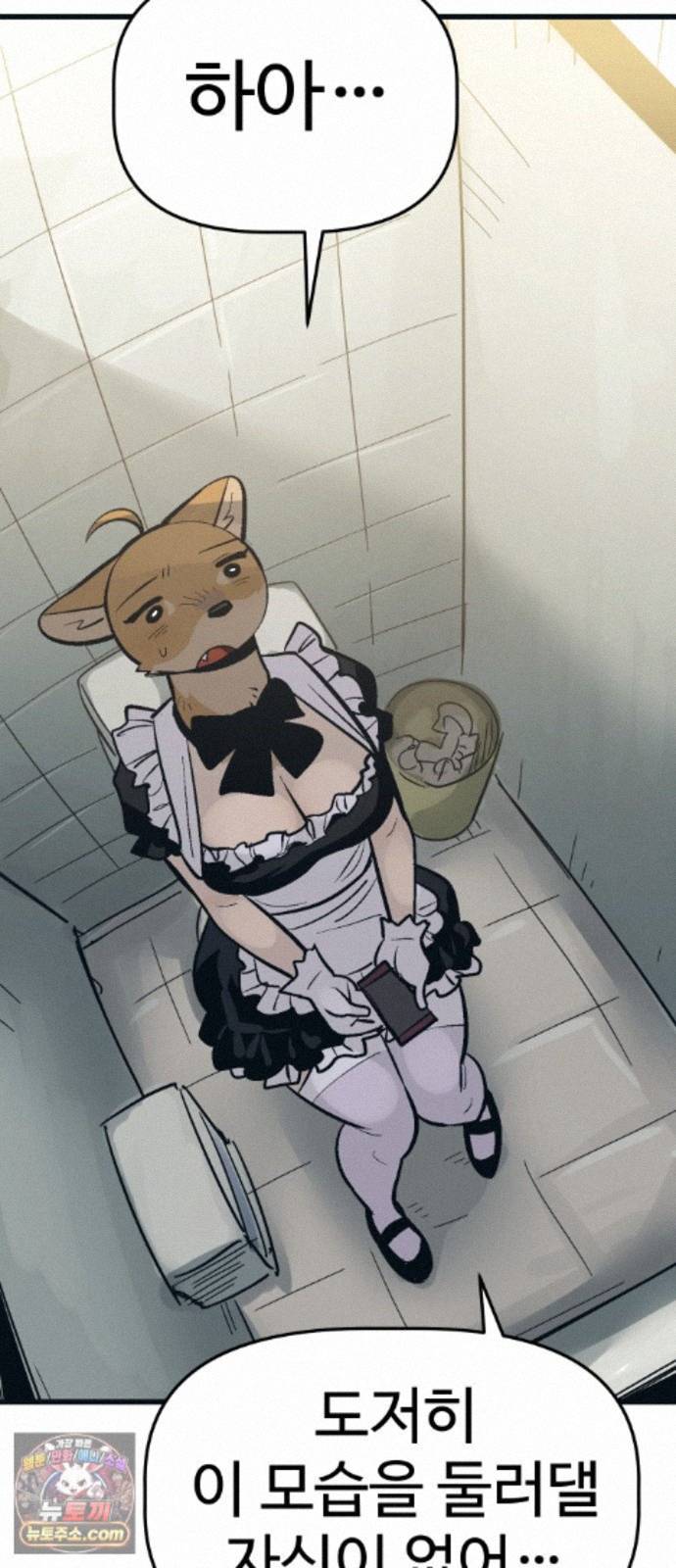 003.jpg