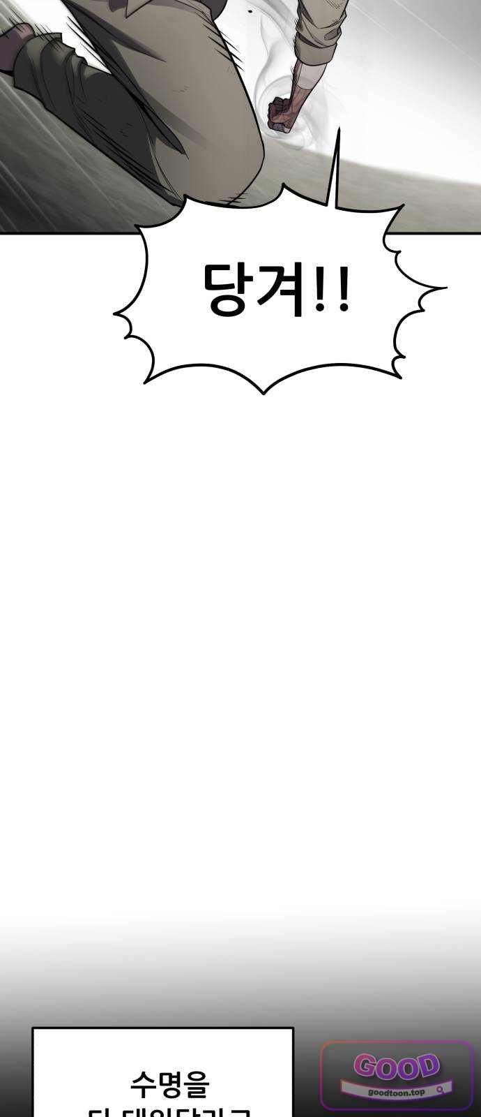 113.jpg