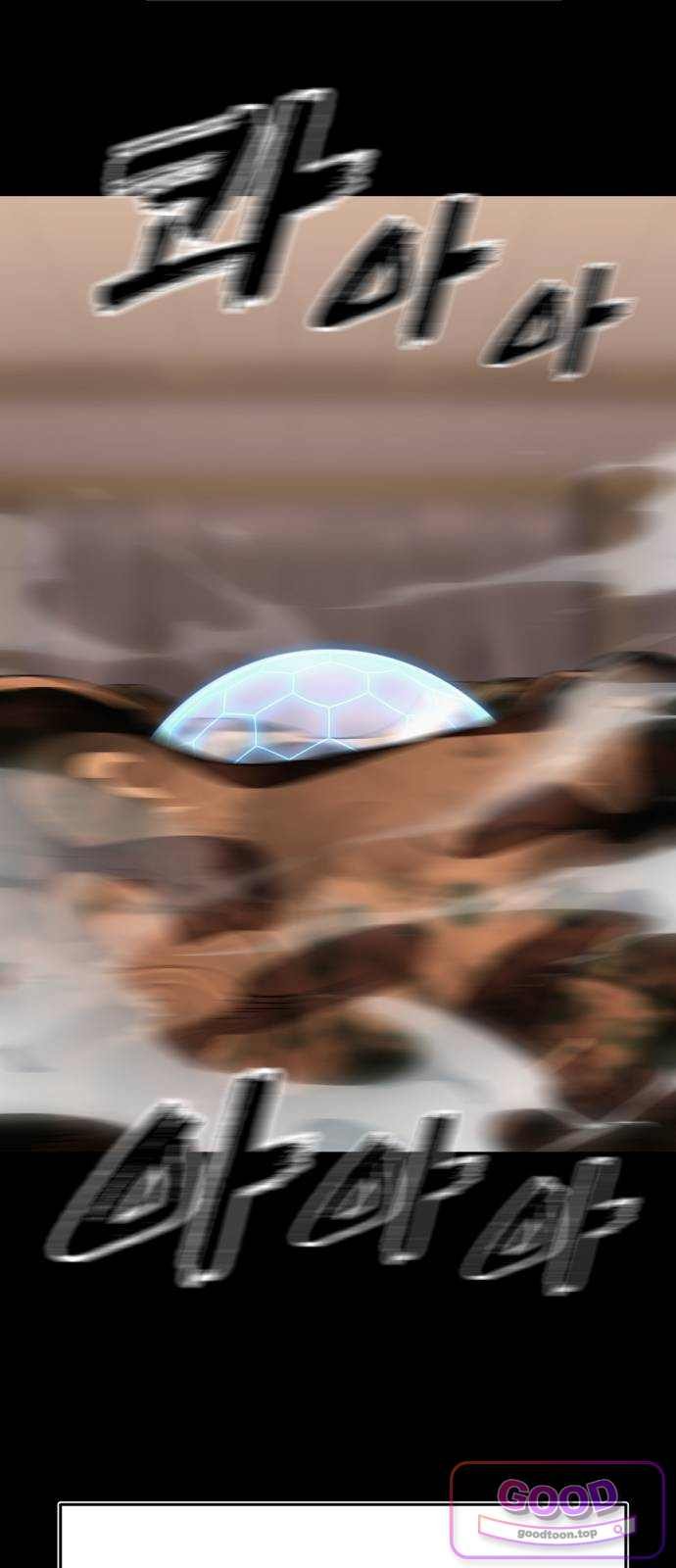 036.jpg