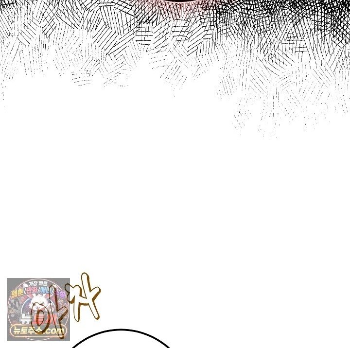 101.jpg