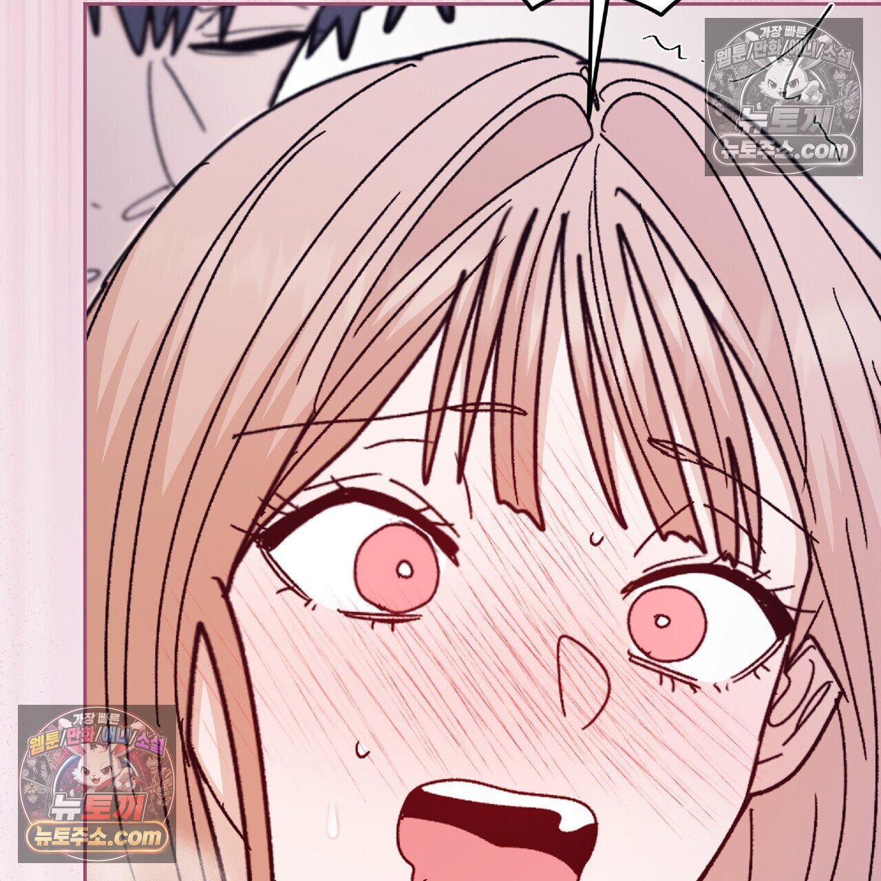 133.jpg