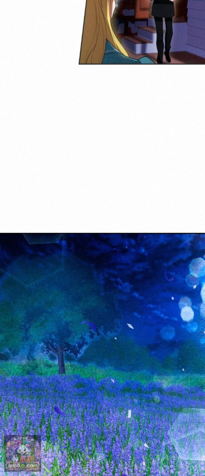 041.jpg