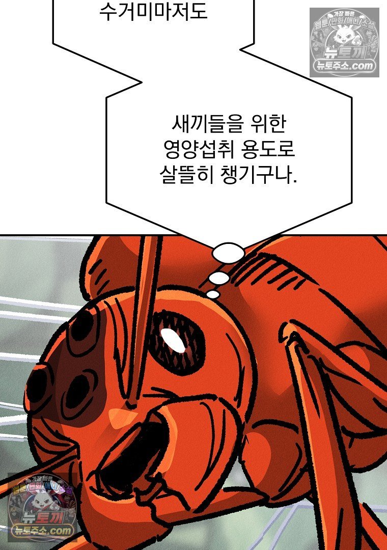 105.jpg